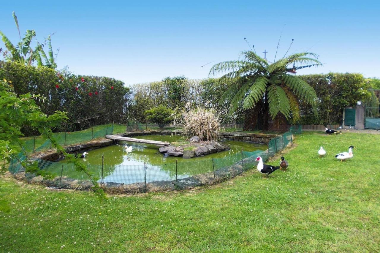 Homes Quinta Dos Curubas, Franca Do Campo, Sao Miguel, Azores Holiday home *