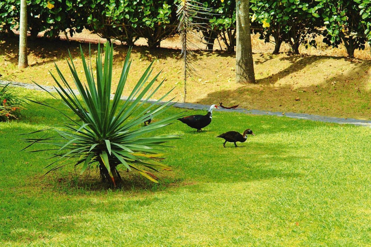 Holiday home Homes Quinta Dos Curubas, Franca Do Campo, Sao Miguel, Azores *